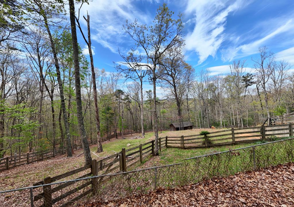 71 Andy Court Morganton, GA 30560 - Photo 35 of 43 a view of a park with large trees