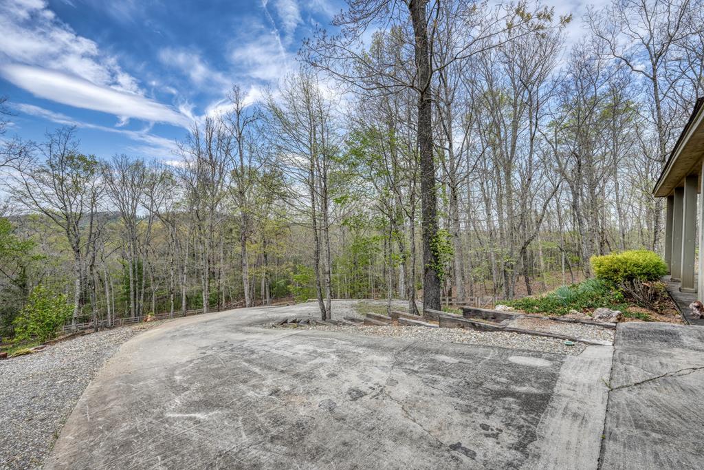 71 Andy Court Morganton, GA 30560 - Photo 36 of 43 a view of outdoor space with trees