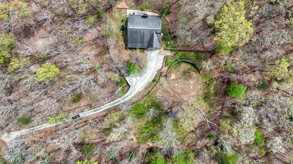 71 Andy Court Morganton, GA 30560 - Photo 39 of 43 a picture of trees