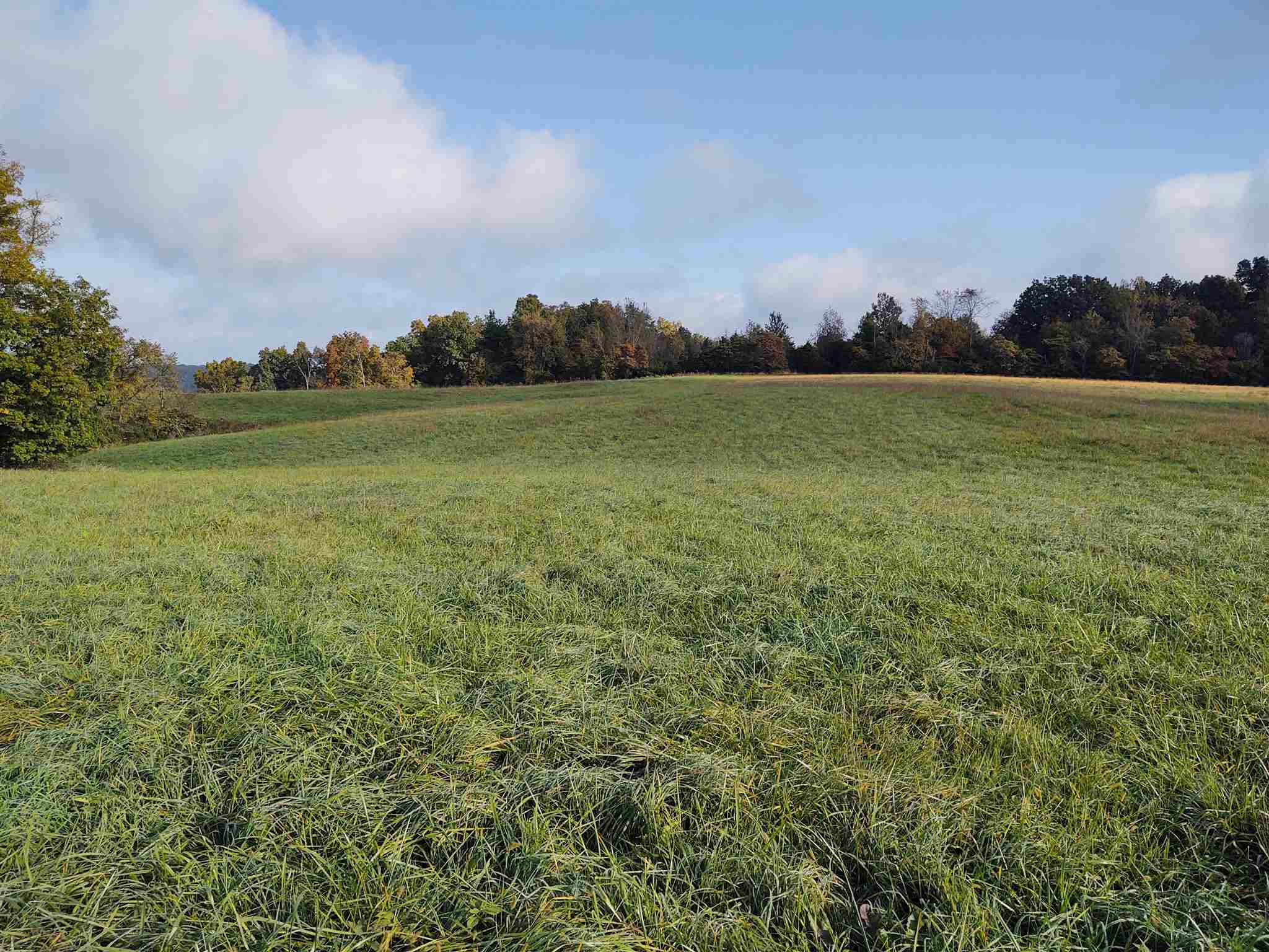 165 Poplar Thicket Road Alexandria, KY 41001 - Photo 14 of 16 Gallery Image 14
