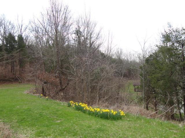 1665 Sugar Creek Road Dry Ridge, KY 41035 - Photo 10 of 17