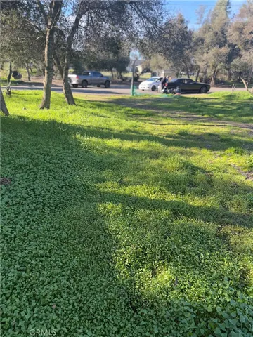 a view of a backyard with large trees and wooden fence