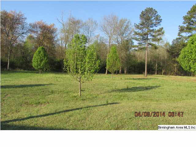 395 Concord Church Road Talladega, AL 35160 - Photo 3 of 17