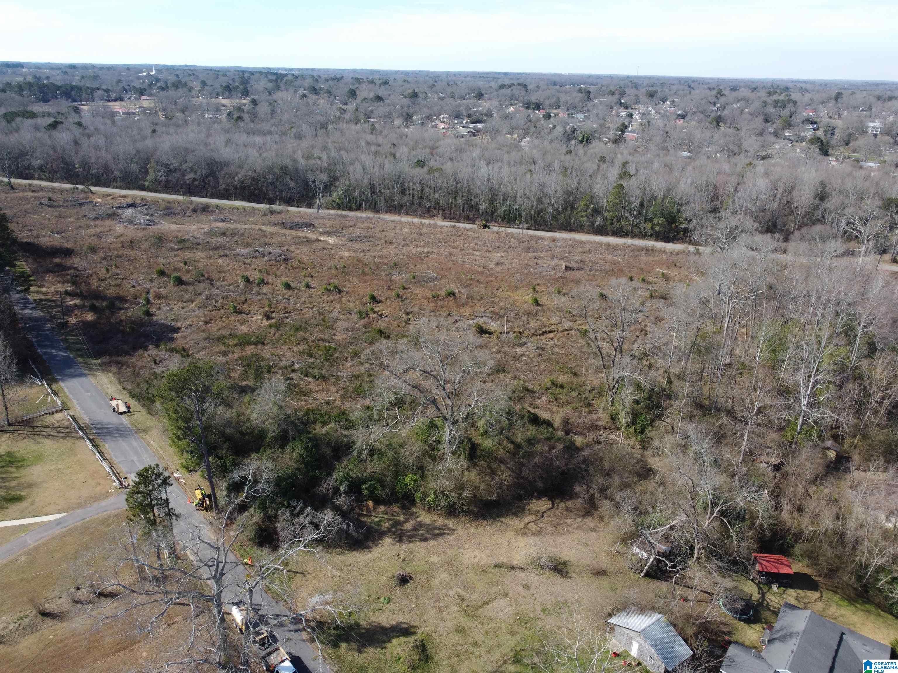 0 Kincheon Road Clanton, AL 35045 - Photo 15 of 45