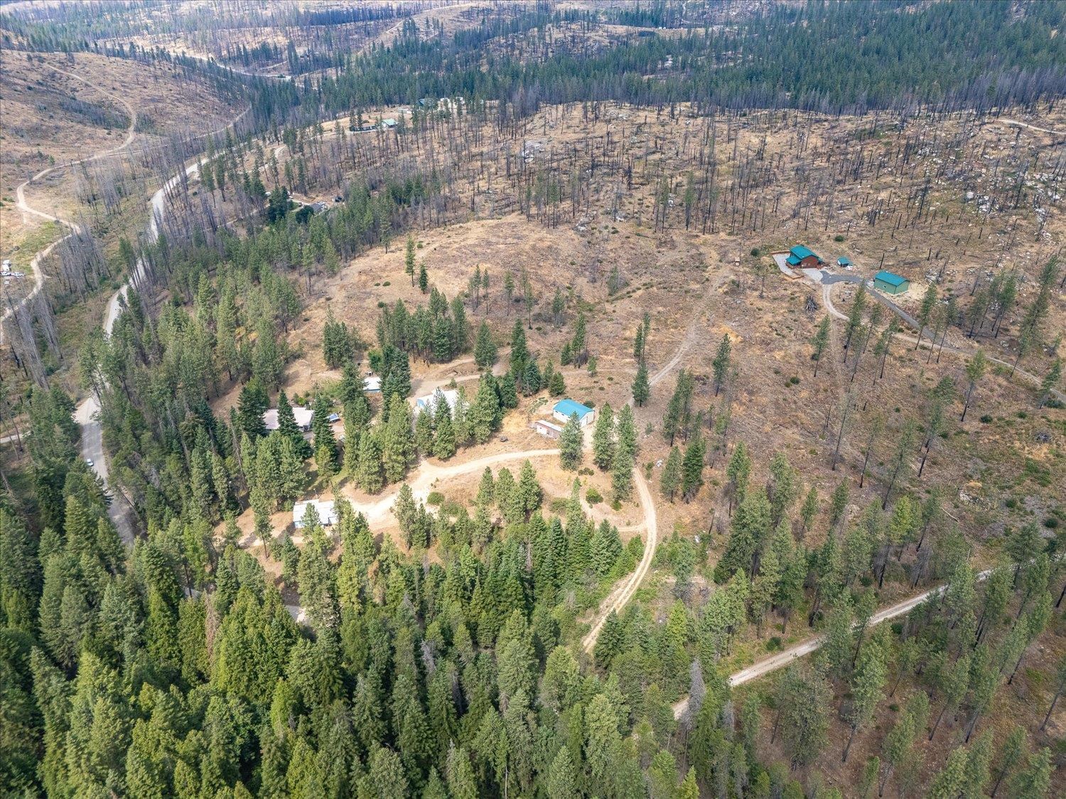 5135 Rail Canyon Road Springdale, WA 99173 - Photo 8 of 12