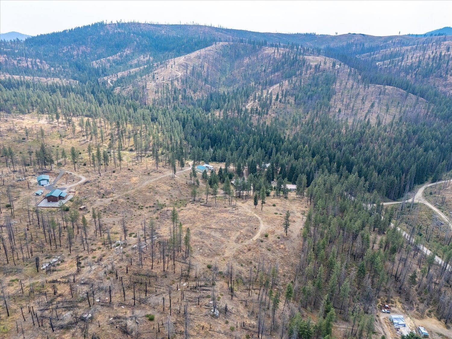 5135 Rail Canyon Road Springdale, WA 99173 - Photo 9 of 12