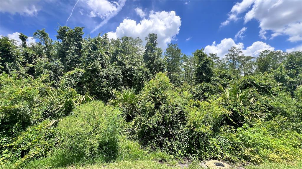 6173 Apollos Corner Way Orlando, FL 32829 - Photo 39 of 41