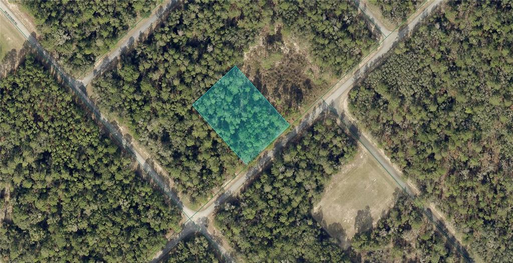 172nd Place Road Ocala, FL 34473 - Photo 1 of 1 Gallery Image 1