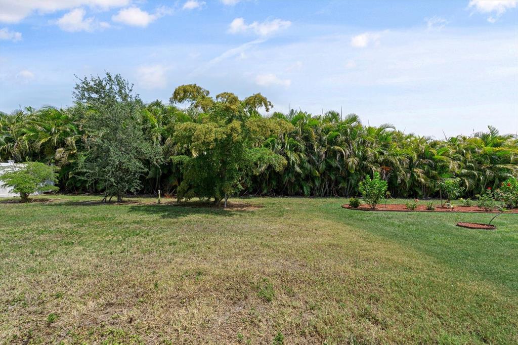 8932 Excelsior Place Venice, FL 34293 - Photo 31 of 43 a backyard of a house with lots of green space