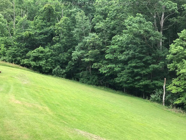 1078 Robinson Run Road Walton, WV 25286 - Photo 15 of 19 Gallery Image 15