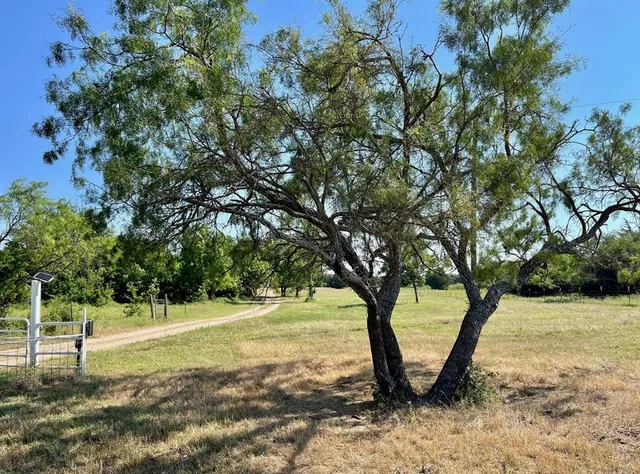 a kitchen with a stove a sink and cabinets