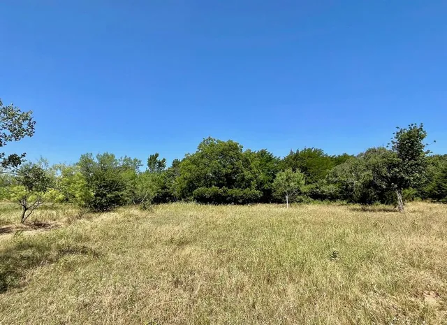 a view of a yard with a tree