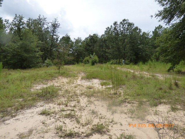 785 Hutto Pond Road Aiken, SC 29805 - Photo 2 of 3