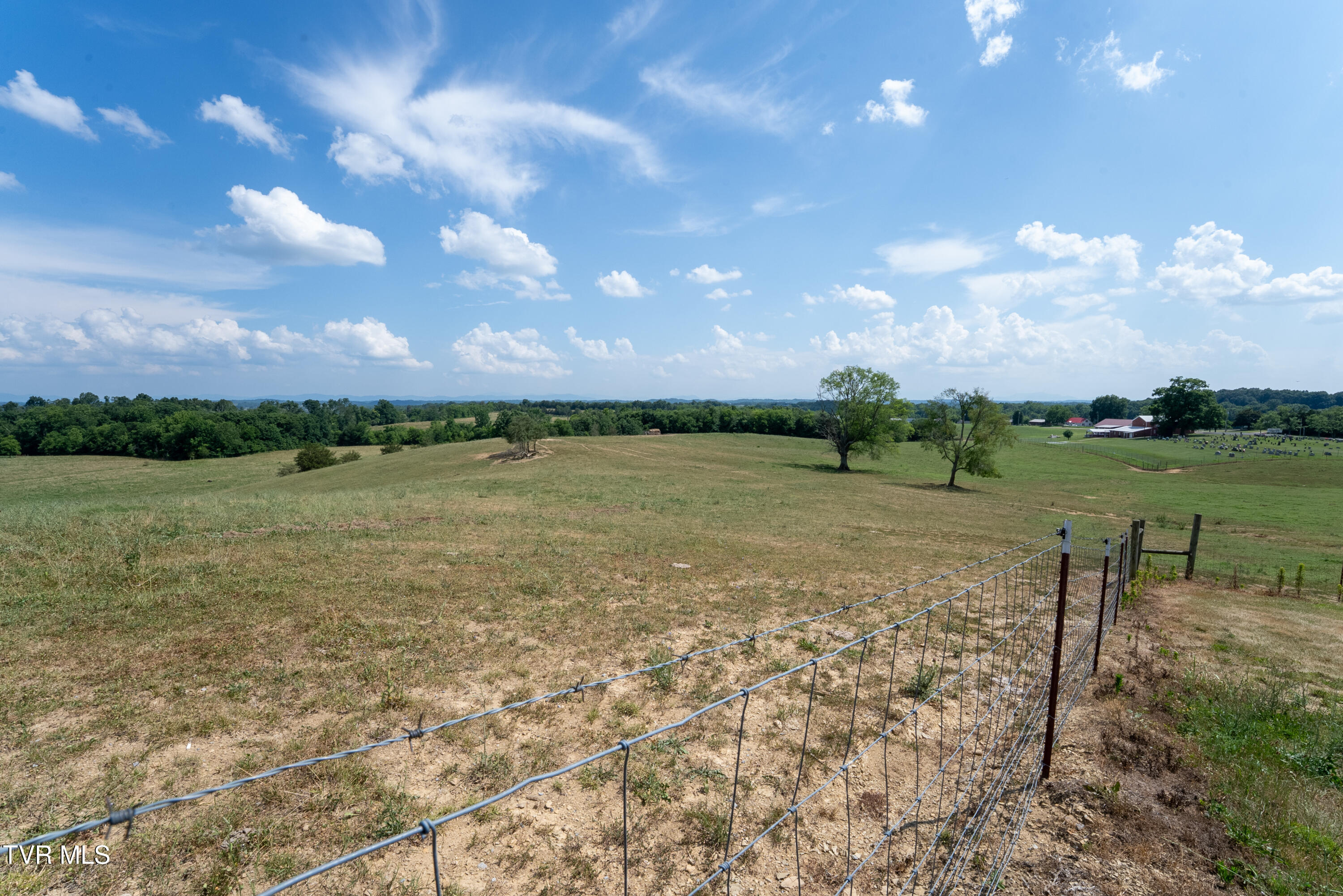 1550 Mt Hope Road, Unit 1 Mohawk, TN 37810 - Photo 91 of 113 _Pic89 (4)