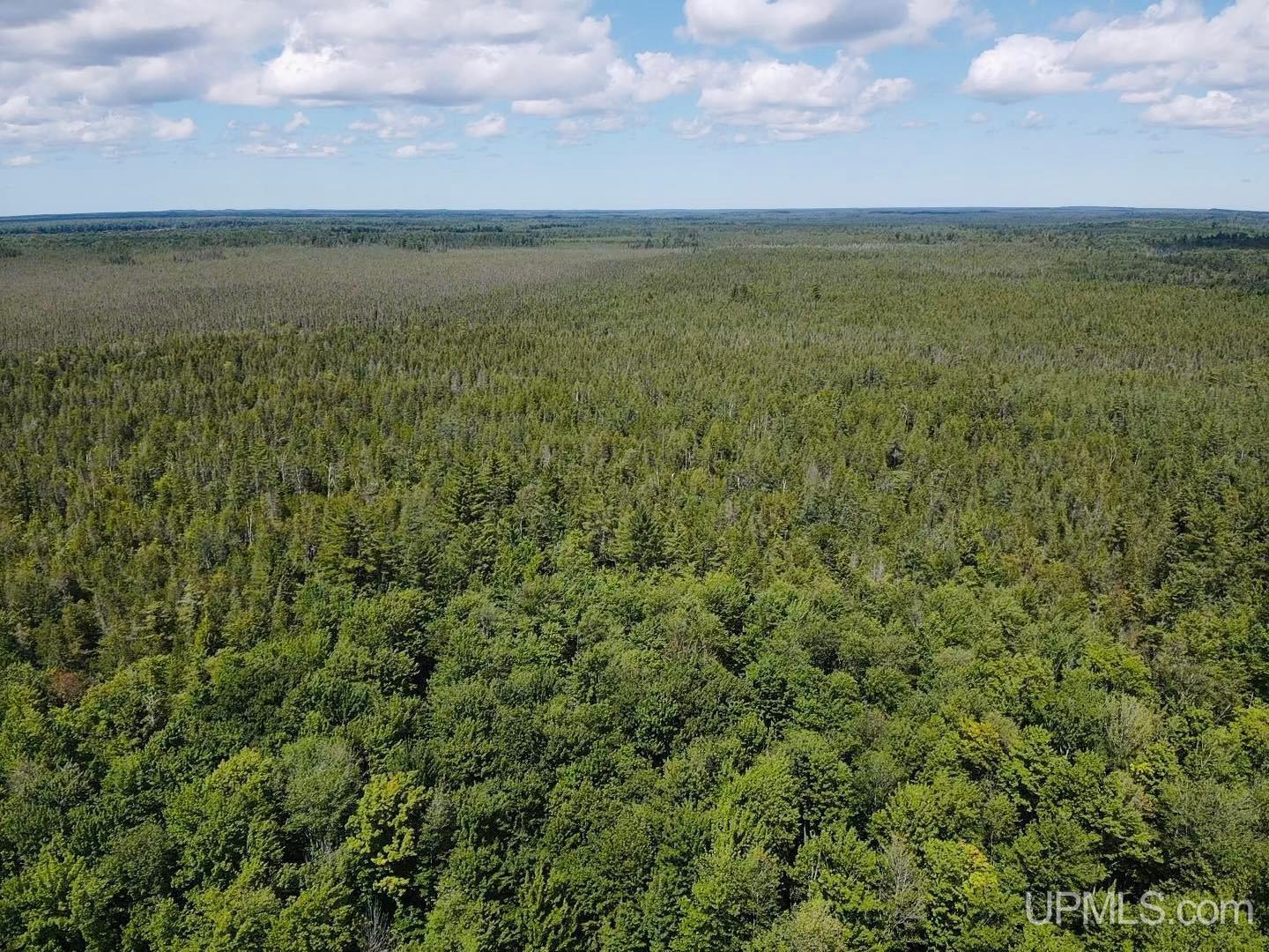 15.5 15.5 Road Wetmore, MI 49895 - Photo 12 of 14