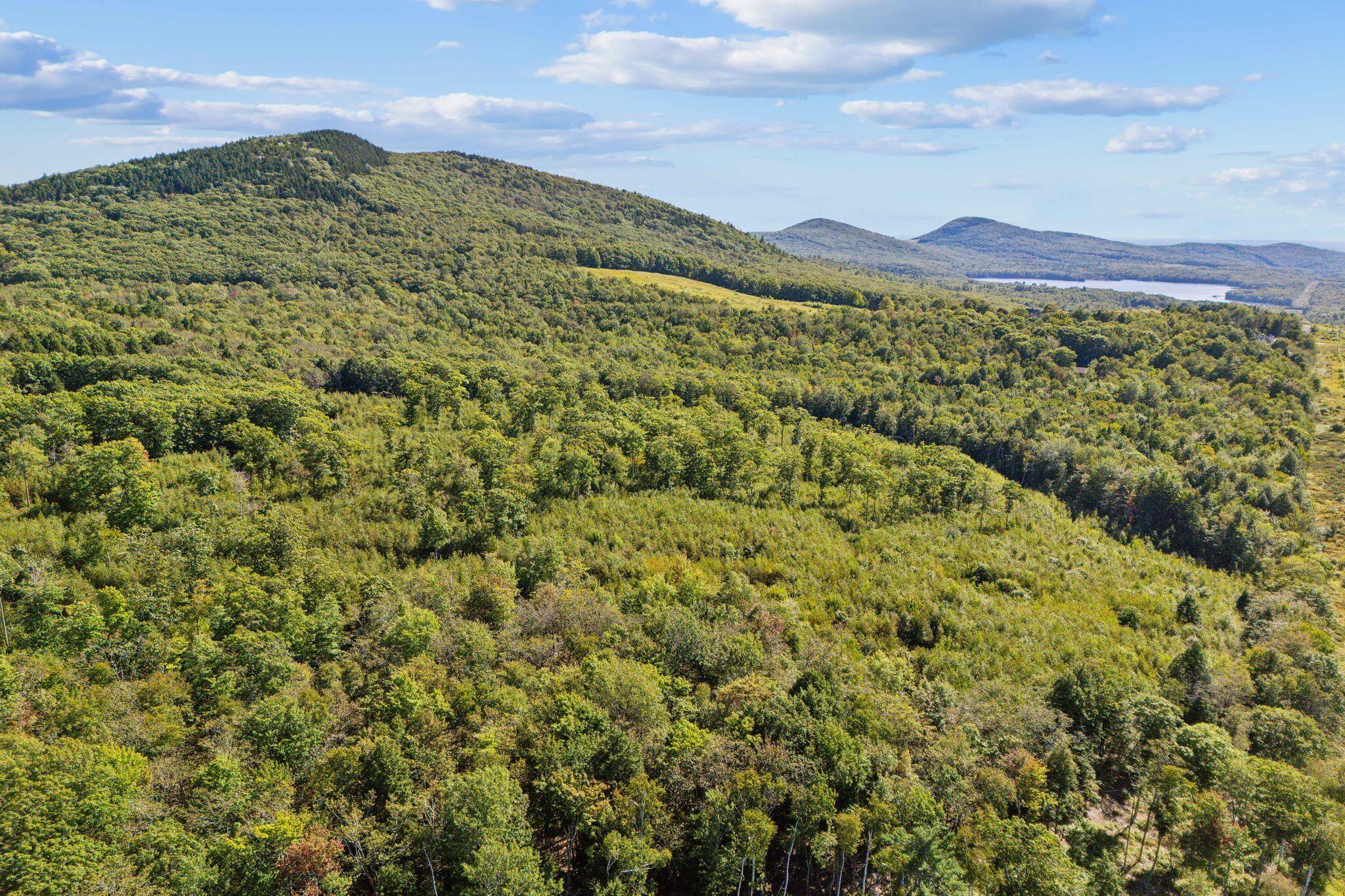 8-8-2 Barnestown Road Hope, ME 04847 - Photo 19 of 24 25_DJI_20240910114841_0518_D