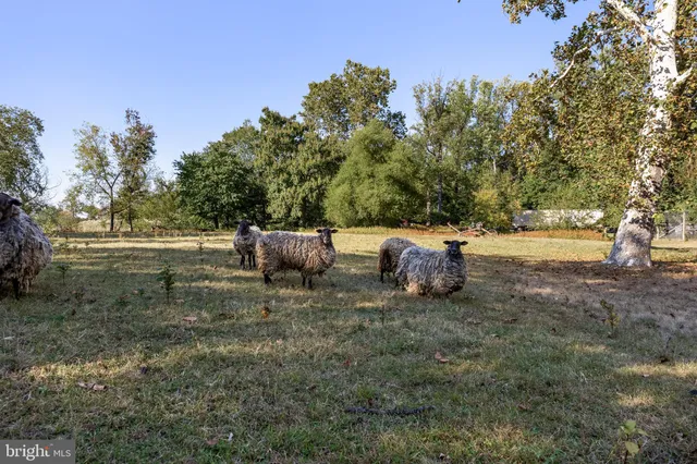 $3,000,000 | 601 Creek Road, Delanco, NJ 08075