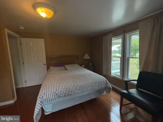 a view of a large trees with an outdoor space