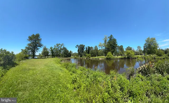 a view of a golf course with a park