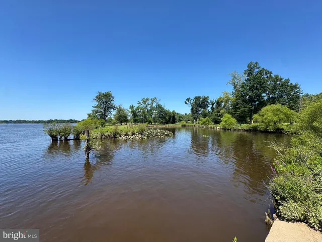 a view of a wooden deck next to a yard with wooden fence