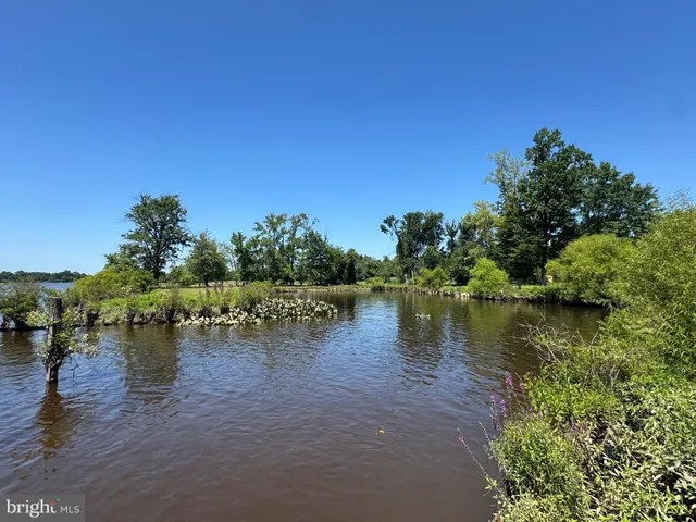 an aerial view of a house with yard and green space