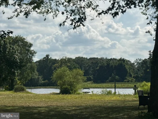 a view of a field with trees in the background