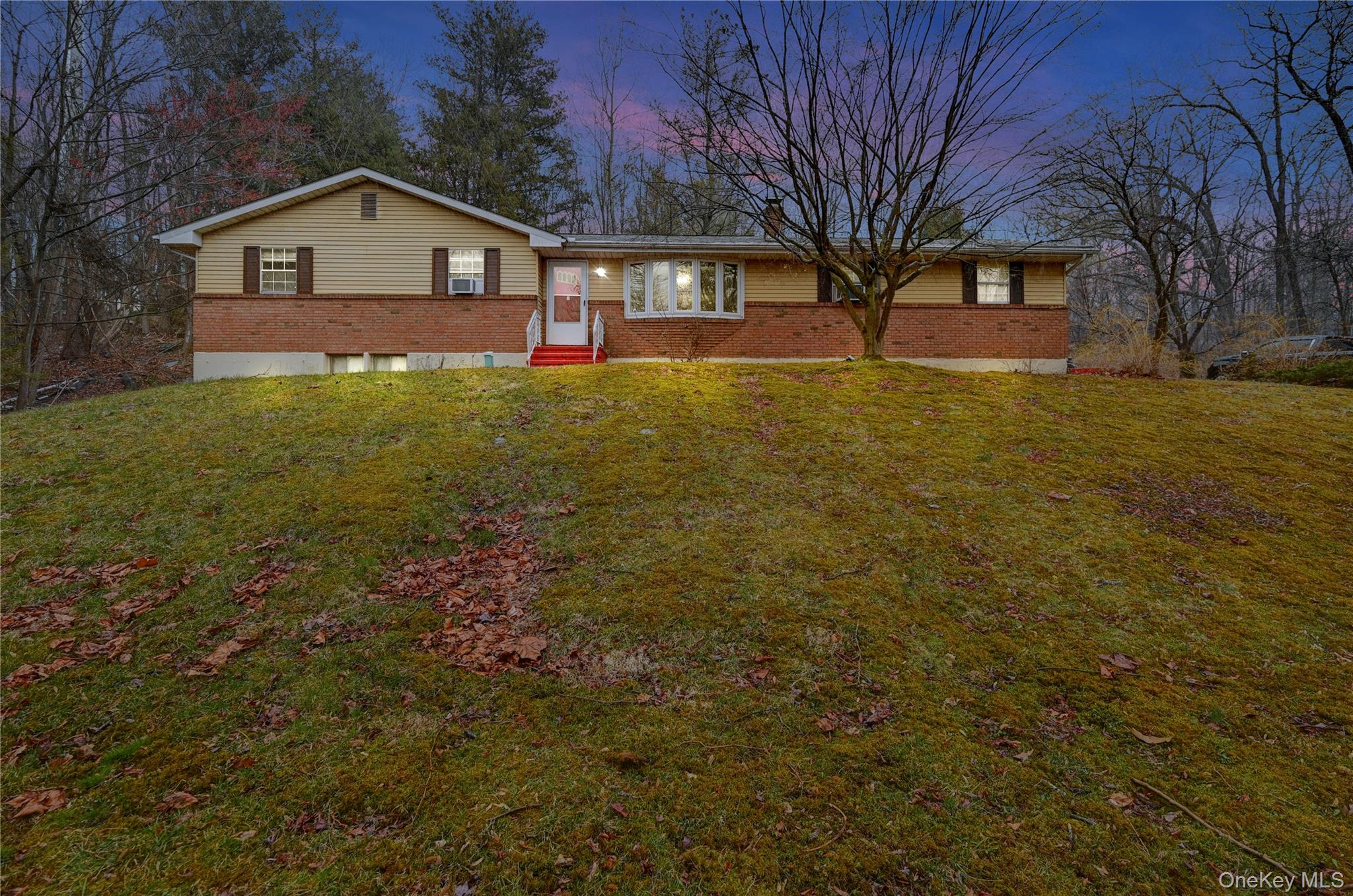 298 Learn Road Tannersville, PA 18372 - Photo 2 of 24 a view of a yard with a house in the background