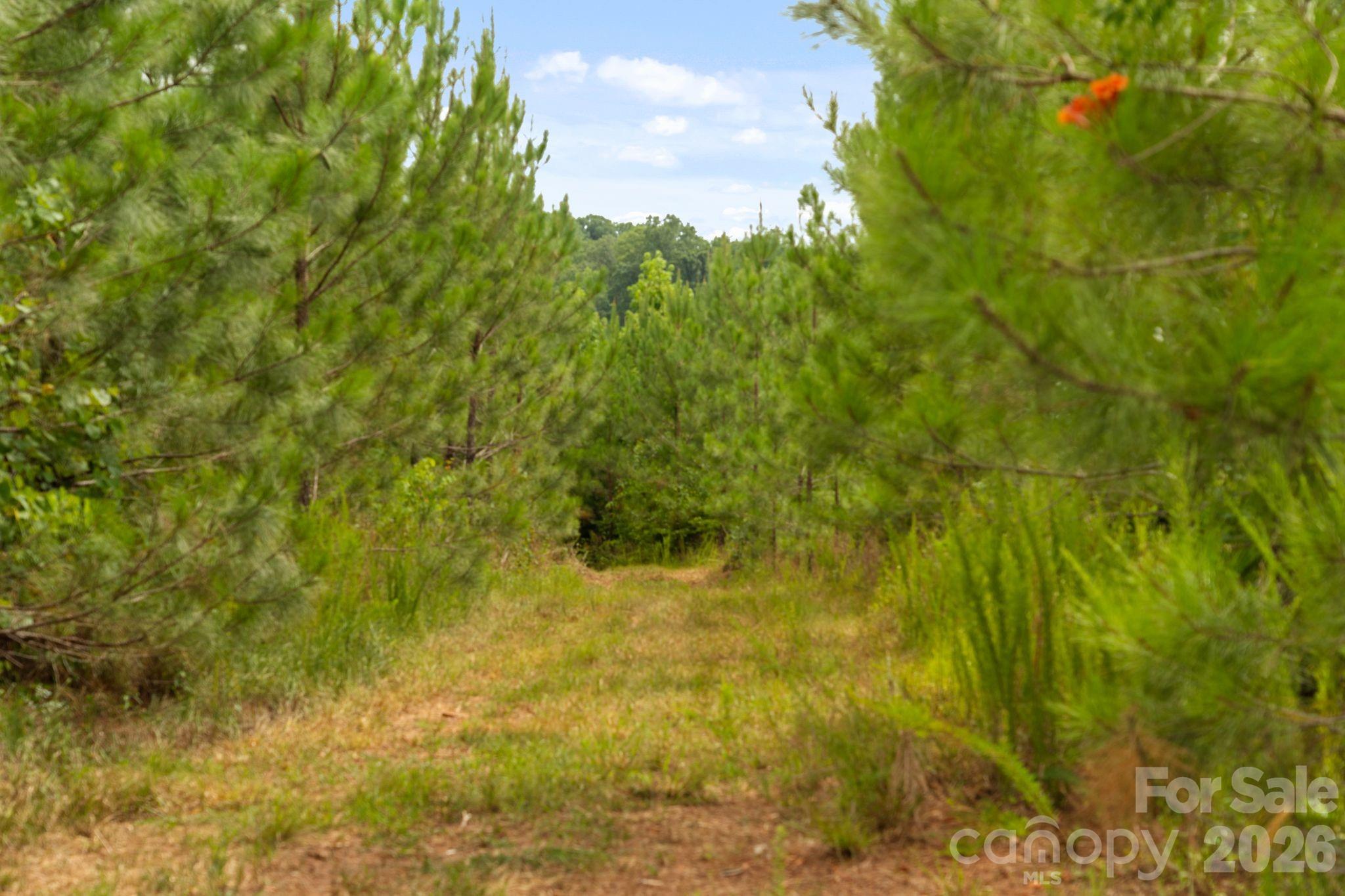 0 Blanton Road, Unit 2 Sharon, SC 29742 - Photo 43 of 47 Gallery Image 43