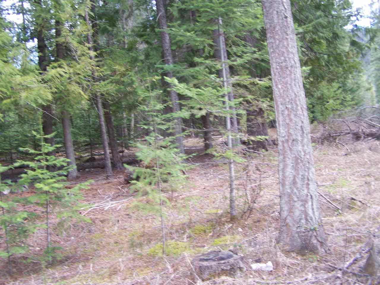 92 South Trestle Road Ione, WA 99139 - Photo 14 of 20 Gallery Image 14