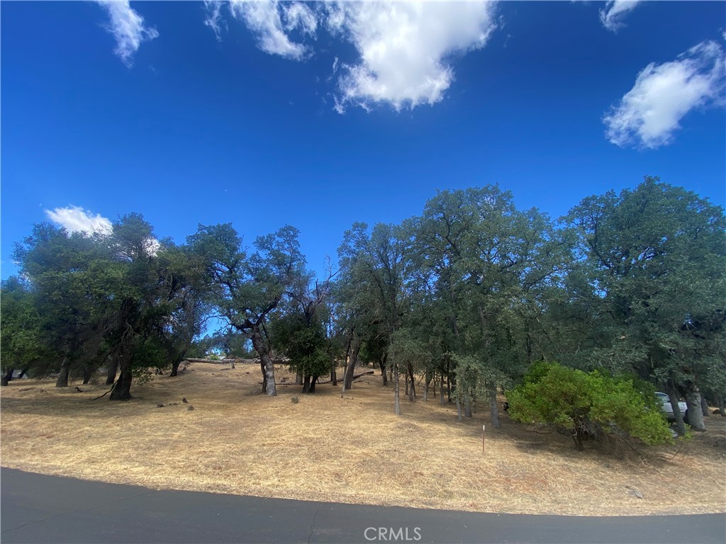 20393 Powder Horn Road Hidden Valley Lake, CA 95467 - Photo 2 of 8 a view of a yard with a tree