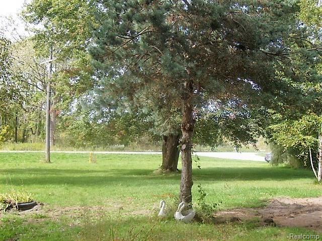 1626 Michigan Road Port Huron, MI 48060 - Photo 3 of 12 SANY3278.JPG