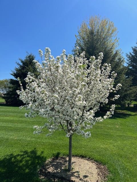 3123 Fran's Sun Prairie Sun Prairie, WI 53590 - Photo 21 of 23