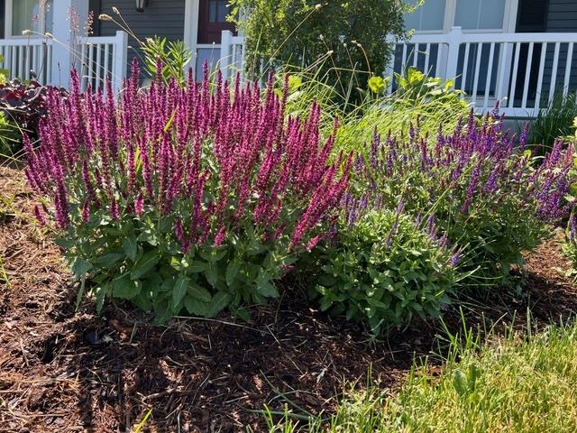 3123 Fran's Sun Prairie Sun Prairie, WI 53590 - Photo 22 of 23