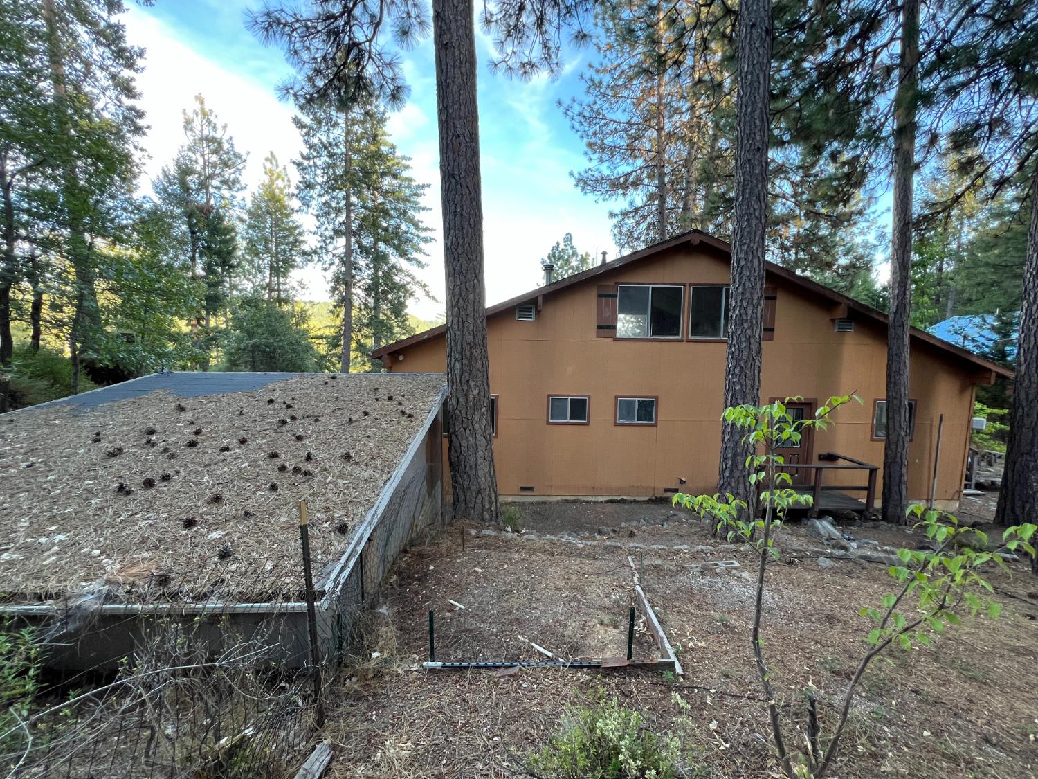 16267 Gold Bug Road Nevada City, CA 95959 - Photo 14 of 46 Gallery Image 14