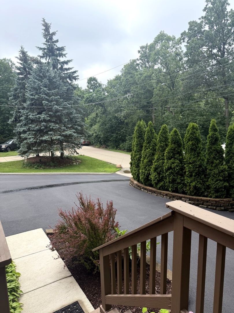 209 North Rivers Drive Lake Bluff, IL 60044 - Photo 7 of 43