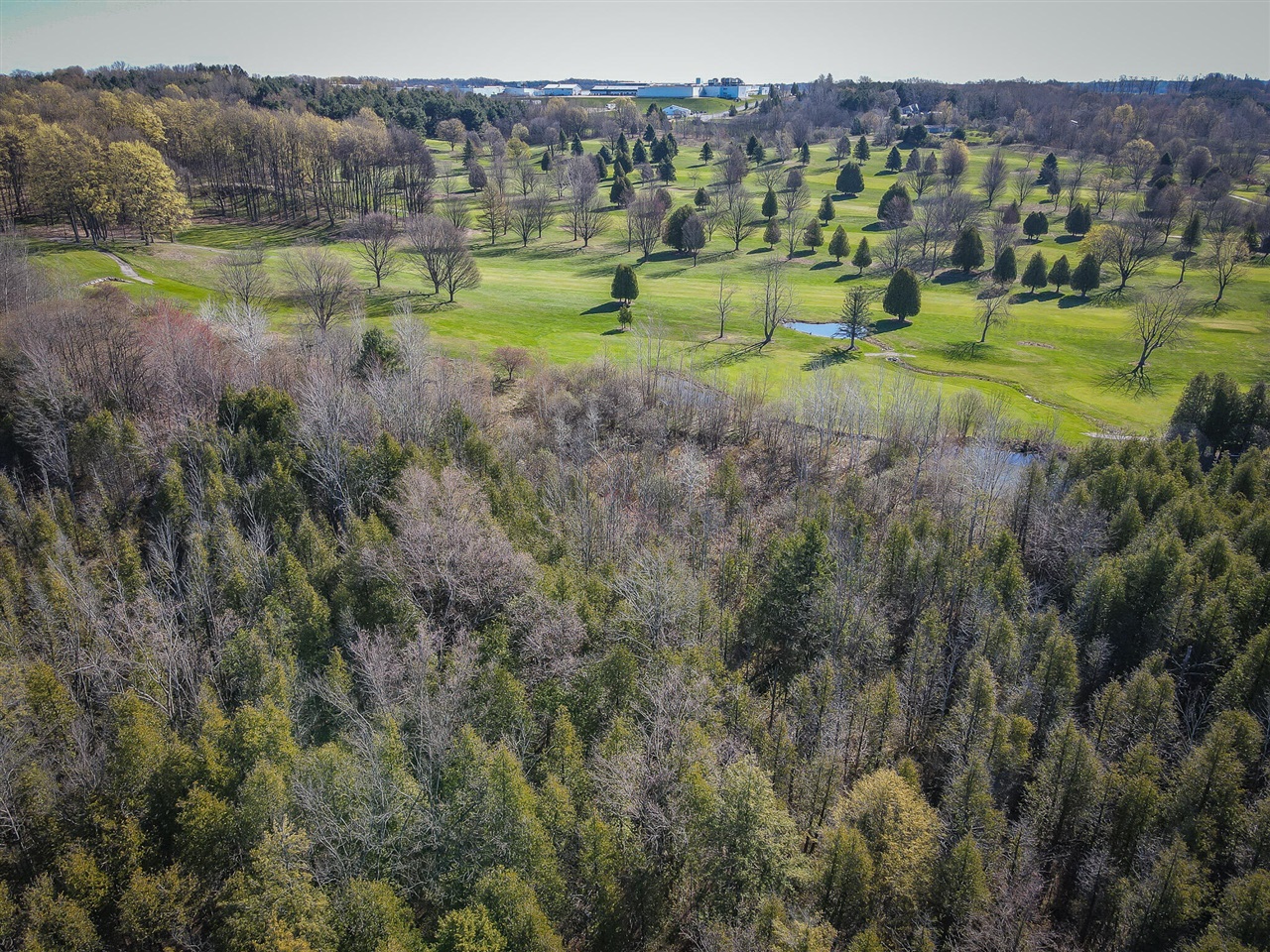10 West Weaver Road Hesperia, MI 49421 - Photo 39 of 43