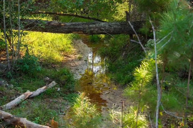 $6,995,000 | 10326 County Road 3112, Winona, TX 75792