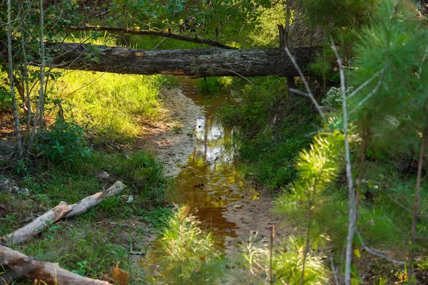 $6,995,000 | 10326 County Road 3112, Winona, TX 75792