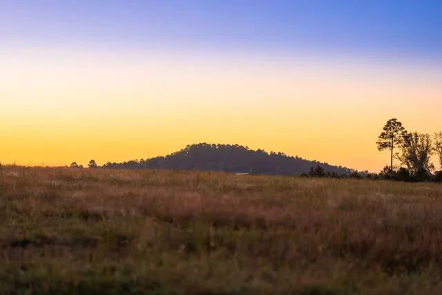 $6,995,000 | 10326 County Road 3112, Winona, TX 75792