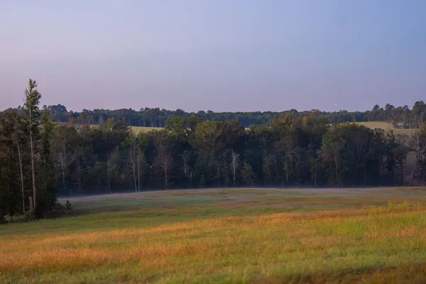 $6,995,000 | 10326 County Road 3112, Winona, TX 75792