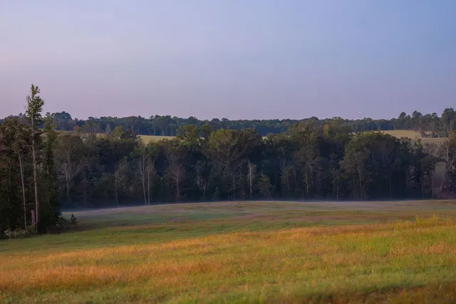 $6,995,000 | 10326 County Road 3112, Winona, TX 75792