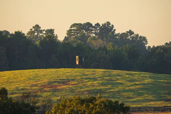 $6,995,000 | 10326 County Road 3112, Winona, TX 75792