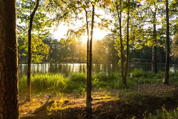 $6,995,000 | 10326 County Road 3112, Winona, TX 75792