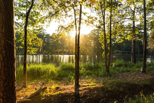 $6,995,000 | 10326 County Road 3112, Winona, TX 75792