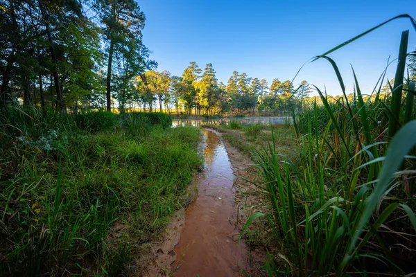 $6,995,000 | 10326 County Road 3112, Winona, TX 75792