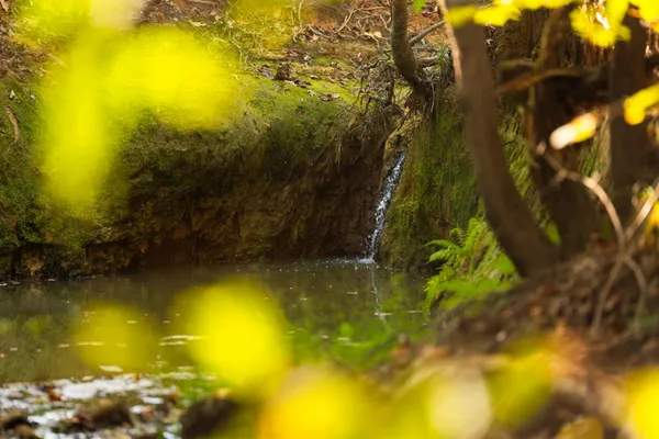 $6,995,000 | 10326 County Road 3112, Winona, TX 75792