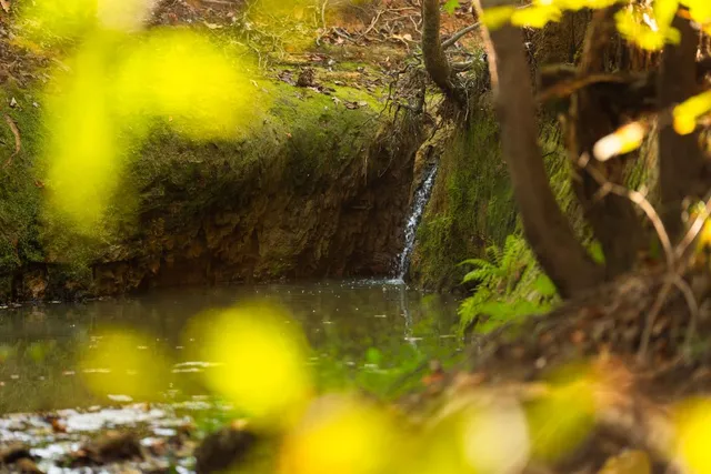 $6,995,000 | 10326 County Road 3112, Winona, TX 75792