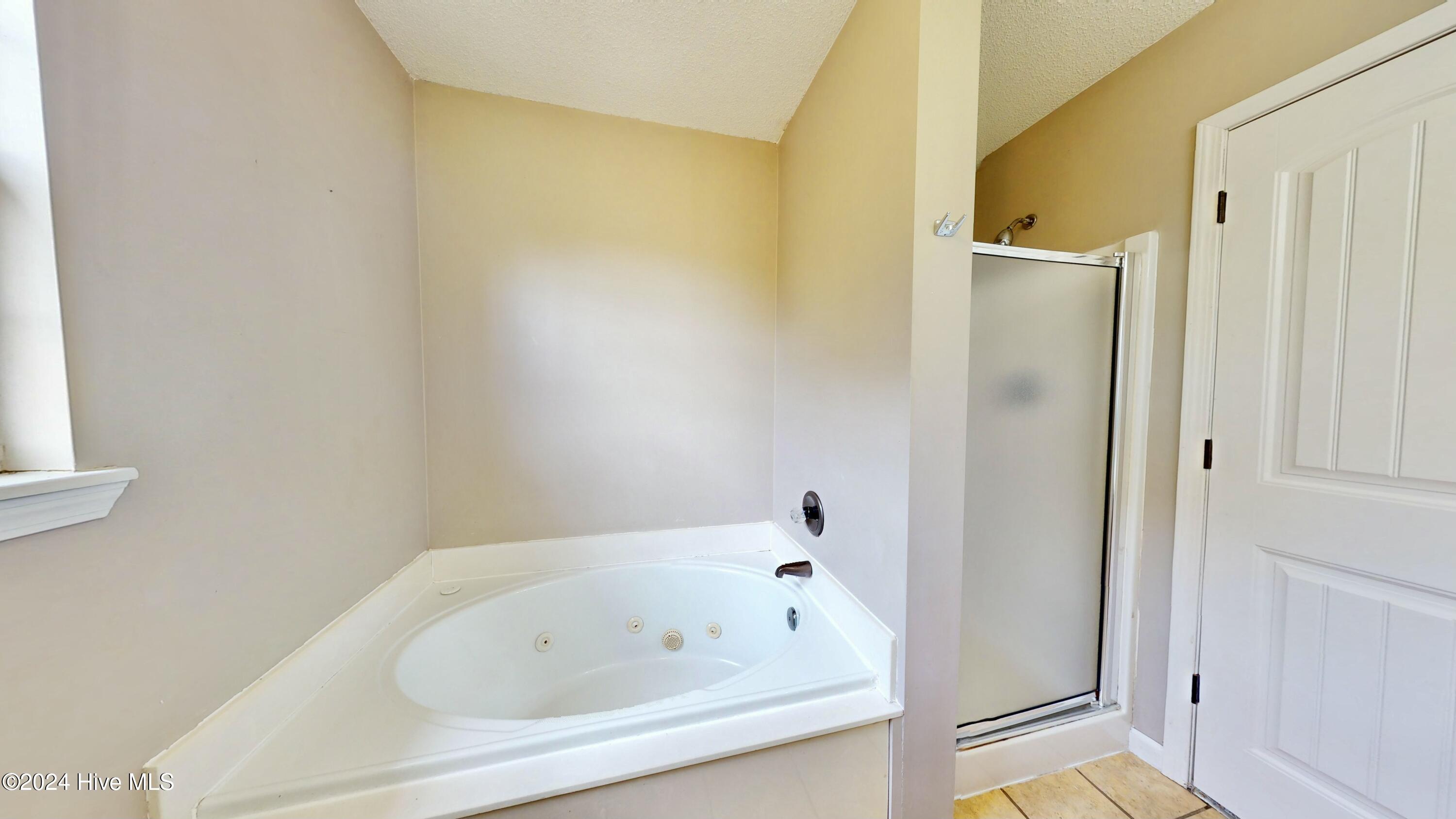 263 Bannermans Mill Road Richlands, NC 28574 - Photo 30 of 44 master bath