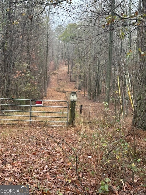 0 Winding Stream Trail Hampton, GA 30228 - Photo 2 of 3 Gallery Image 2
