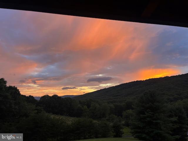 65 Cyprus Road Warm Springs, VA 24484 - Photo 37 of 40